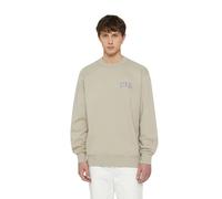 Sweatshirt Dickies Aitkin Gris M