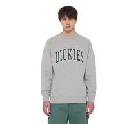 Sweatshirt Dickies Aitkin Gris S