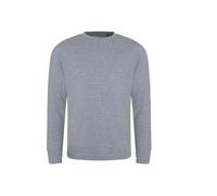 Sweatshirt Ecologie Banff Gris XS