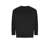 Sweatshirt Ecologie Crater Noir S