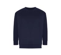 Sweatshirt Ecologie Crater Recycled Bleu XL