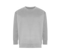 Sweatshirt Ecologie Crater Recycled Gris S