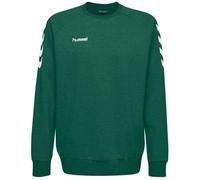 Sweatshirt en Coton pour Enfants - HUMMEL - HMLGO - Manches longues - Col arrondi - Garçon 16 ans
