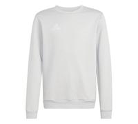 adidas Unisex Kinder Entrada26 Sweat Top Kids, Team Light Grey/White, 15-16 Years