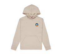 Sweatshirt enfant DC Shoes Shape Or Destroy Beige 12 ans