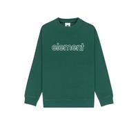 Sweatshirt enfant Element Central Lowcase Vert 12 ans