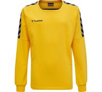 Sweatshirt enfant Hummel hmlAUTHENTIC Training Jaune 6 ans
