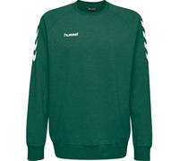 Sweatshirt en Coton pour Enfants - HUMMEL - HMLGO - Manches longues - Col arrondi - Garçon 16 ans