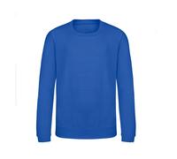 Sweatshirt enfant Just Hoods Awdis Bleu 9/11 ans