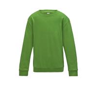 Sweatshirt enfant Just Hoods Awdis Vert 7/8 ans