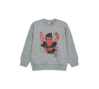 Sweatshirt enfant Lego Ninjago Lwsian 205 Gris 12 ans