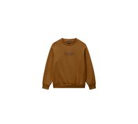 Napapijri New Box Logo Crew Sweatshirt Marron 8 Years Garçon