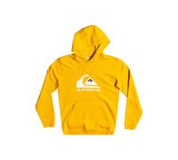 Sweatshirt enfant Quiksilver Big Logo Jaune 10 ans