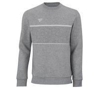 Sweatshirt enfant Tecnifibre Team Gris 6/8 ans