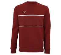 Sweatshirt enfant Tecnifibre Team Rouge 6/8 ans