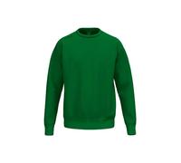 Erima Maillot de survêtement mixte TS Basic (2072590) émeraude XL