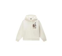 Napapijri Aral Hoodie S