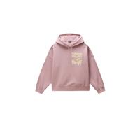 Napapijri Aral Hoodie L