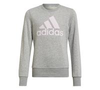 Adidas Bl Sweatshirt Gris 5-6 Years Fille