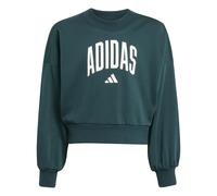 Adidas Sweatshirt Fille Essentials Collegiate Typography Vert 7/8 ans