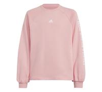 Adidas Jam Crew Sweatshirt Rose 13-14 Years Fille