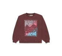 Sweat-shirt Roxy Lineup Brushed marron rougeâtre fille - 6
