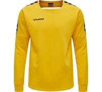 Sweatshirt Hummel hmlAUTHENTIC Training Jaune 2XL
