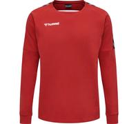 Sweatshirt Hummel hmlAUTHENTIC Training Rouge XL