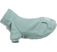 Sweatshirt Littleton menthe