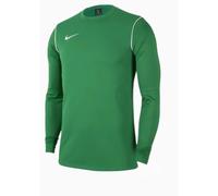 Sweatshirt Nike Dri-FIT Park 20 R Vert M Male