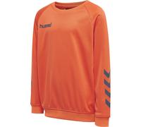 Sweatshirt polyester enfant Hummel Promo Orange 14 ans