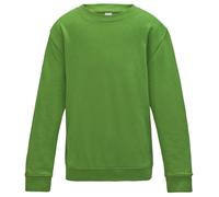 Sweatshirt Scolaire Awdis Enfant Garçons Filles Academy