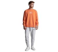 Superdry Studios Rcy ity Sweatshirt Orange XS-S