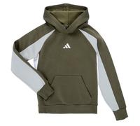 Sweatshirts à capuche garcons adidas JD0056 Vert 9 / 10 ans