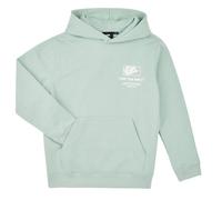Sweatshirts à capuche garcons Vans B STOCKPILE PULLOVER Vert 16 ans