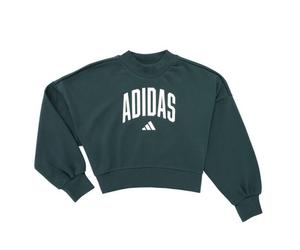 Sweatshirts filles adidas Seasonals Essentials Collegiate Typography Crewneck Sweatshirt K Vert 11 / 12 ans