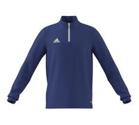 Sweatshirts garcons adidas H57516 Bleu 15 / 16 ans