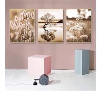 SWECOMZE Lot de 3 posters de qualité supérieure - Pour le salon et la chambre à coucher - Sans cadre photo - 60 x 80 cm