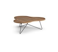 Swedese Table Flower Mono édition spéciale 107x114 cm H39 cm noyer laqué acier noirci