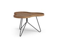 Swedese Table Flower Mono édition spéciale 62x66 cm H39 cm noyer laqué acier noirci