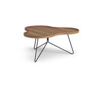 Swedese Table Flower Mono édition spéciale 84x90 cm H39 cm noyer laqué acier noirci