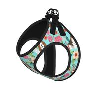 Sweet Basset Hound Ensemble harnais réglable avec laisse pour chats et chiens, gilet en maille douce et respirante avec design réfléchissant, laisse anti-fuite pour petits animaux de compagnie