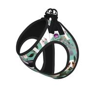 Sweet Basset Hound Harnais d'été pour chien avec laisse réglable et réfléchissant Motif floral