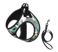 Sweet Basset Hound Harnais d'été pour chien avec laisse réglable et réfléchissant Motif floral