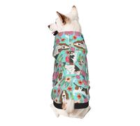 Sweet Basset Hound Sweat à capuche pour petits chiens, chaud, doux et respirant, facile à porter pour l'hiver et l'automne