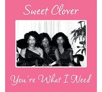 Sweet Clover - You'Re What I Need