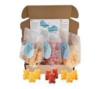 Sweet Goûter - Oursons à infuser aux fruits - Infusion fruitée originale - Assortiment découverte de 3 saveurs - 30 oursons (3 sachets de 10) (Assortiment Exotiques)