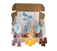 Sweet Goûter - Oursons à infuser aux fruits - Infusion fruitée originale - Assortiment découverte de 3 saveurs - 30 oursons (3 sachets de 10) (Assortiment Originaux)