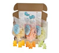 Sweet Goûter - Oursons à infuser aux fruits - Infusion fruitée originale - Assortiment découverte de 3 saveurs - 30 oursons (3 sachets de 10) (Assortiment Agrumes)