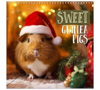 Sweet GUINEA PIGS (Wall Calendar 2026 12 × 12 Inch) CALVENDO 12 Month Wall Calendar: Enjoy loveable cute little piggies